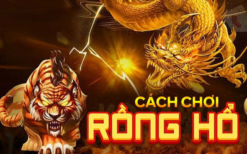 Hướng dẫn cách để tham gia trò chơi Rồng Hổ online